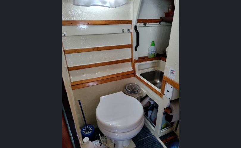 Coronet Muu malli-kuva-8